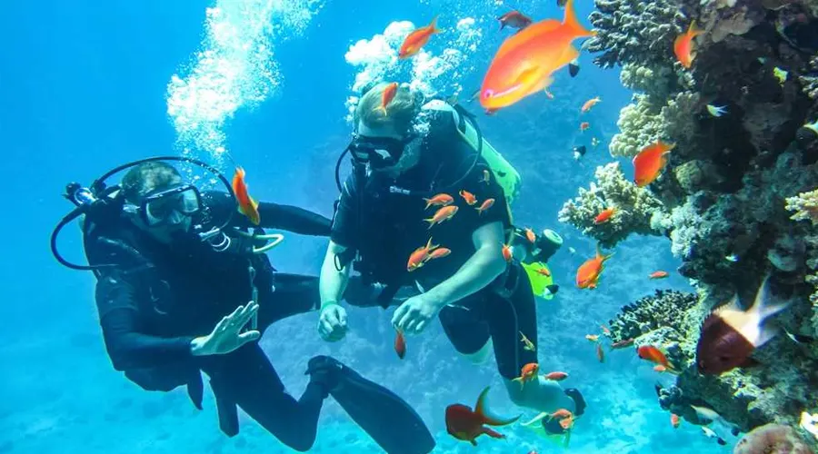 Scuba Diving In Kerala